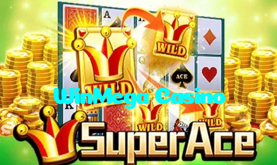 WinMega Casino casino presented on mobile device in Pakistan with slots and live games